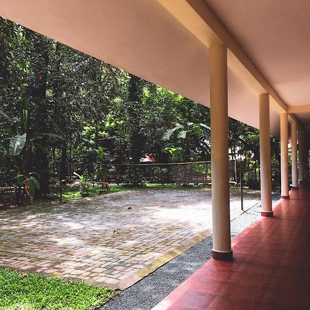 Palm Grove Service Villa Kochi Exterior foto