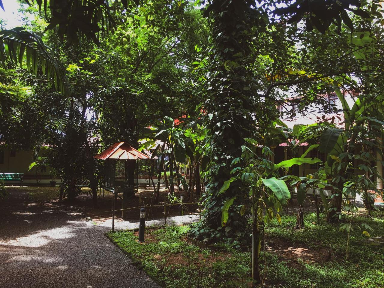 Palm Grove Service Villa Kochi Exterior foto